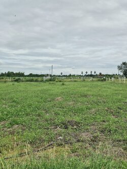 ขายถูก! ที่ดิน 1 ไร่ 2 งาน อ.อู่ทอง สุพรรณบุรี ถมแล้วพร้อมรั้ว ติดถนนลาดยาง ใกล้โรงเรียน วัด โรงพยาบาล ตลาดสด หน้ากว้าง 32 ม. ลึก 82 ม. ถมแล้ว มีรั้ว 💰 ราคาเพียง 629,000 บาท