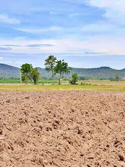 💰ขายแล้ว💰⚜ติดทรัพย์⚜ขายที่ดินแปลงสวย วิวภูเขา บรรยากาศดี อ.อู่ทอง จ.สุพรรณบุรี เนื้อที่ : 34 ไร่ ไร่ละ 2.3 แสน ที่สวยบรรยากาศดี วิวทิวทัศน์สวยงาม วิวภูเขา ใกล้แหล่งชุมชน