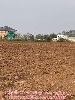 ขายที่ดินทำเลทอง เหมาะสร้างโรงงาน โกดัง หรือโครงการหมู่บ้าน ใกล้ ร.พ.สามชุก จ.สุพรรณบุรี เนื้อที่: 42 ไร่ 1 งาน 79 ตารางวา ขายยกแปลง 25 ล้าน ติดถนนลาดยาง ติดคลอง