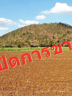 💰ขายแล้ว💰ขายที่ดินสวย วิวภูเขา อ.อู่ทอง จ. สุพรรณบุรี ดินดี ที่สวย เนื้อที่ 5 ไร่ ขายไร่ละ 2.5 แสน น้ำ-ไฟ เข้าถึง ที่สวยบรรยากาศดี วิวทิวทัศน์สวยงาม วิวภูเขา ใกล้แหล่งชุมชน