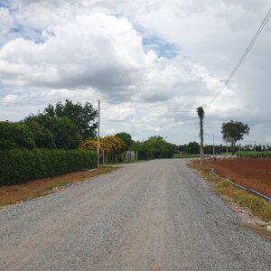 ขายที่ดินสวย 12 ไร่ 2 งาน 53.5 ตร.ว. หน้ากว้างติดถนนสาธารณะ 193 ม. วิวภูเขา 180° อากาศดี เงียบสงบ เหมาะทำบ้านพัก รีสอร์ต หรือเกษตรครบวงจร โอบล้อมด้วยทิวเขา 180° วิวอลังการเต็มตา บรรยากาศธรรมชาติสุดฟิน