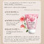 Bioaqua (หลอดอ้วน ชุด3สี) ของแท้100% ครีมทามือสูตรยอดนิยม30กรัม โลชั่นทามือ กลิ่นหอม ปลอดภัย