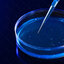 จานเพาะเชื้อ พลาสติก Disposable Plastic Petri Dishes มีให้เลือก 5 ขนาด