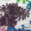 ดอกไม้แห้ง เป็นช่อ 12 สี