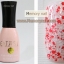 สีเจล-Ejasi-รุ่นที่5
