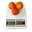 เครื่องชั่ง digital 1 g - 10 kg (SF400)