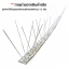 หนามกันนกเกาะแบบเส้นฐาน (stainless)