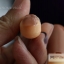 มือปลอมอย่างดี มือฝึกต่อเล็บ เพ้นท์เล็บ นิ้วงอได้ เปลี่ยนเล็บได้