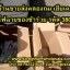 ไฟฉายขนาดเล็กของชำร่วยYG3806ราคาส่ง
