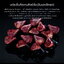 [สั่งจองล่วงหน้า] AFUL DAWN-X หูฟัง IEMs 14 ไดรเวอร์ 1DD+8BA+4EST+1BC เรือธงรุ่นล่าสุด ประกันศูนย์ไทย