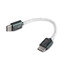 ขาย DD TC05 V2 สายแปลง TypeC เป็น TypeC สาย OCC ชุบเงิน