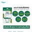 CURESYS Heartleaf Acpair Spot Patch แผ่นแปะสิว 1 ซอง/15แผ่น สีเขียว