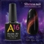 สีเจลตาแมว Double 3D Cat Eye Gel รวม 6 สี แถมแม่เหล็กอันใหญ่