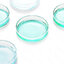 จานเพาะเชื้อ แบบแก้ว Glass Petri Dishes มีให้เลือก 3 ขนาด