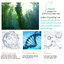 SNN12543 แผ่นมาร์คหน้า Senana มาส์กหน้าสารสกัดจากสาหร่ายทะเล (Seaweed) รูขุมขนเล็กลง มาส์กบำรุงผิวหน้า เติมความชุ่มชื้น