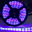 ไฟริบบิ้นสีสลับ LED 60 ดวง 5M 12V