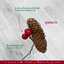 ลูกสนประดับต้นคริสมาสต์พร้อมลวด สำหรับตกแต่ง Pinecone Christmas ของตกแต่งต้นคริสมาสต์ ลูกสนประดับ