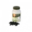 WellGate MaxxLife Spirulina GD-1 100s เวลล์เกท แม็กซ์ไลฟ์