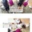 กระเป๋าเป้ใส่กล้อง สะพายหลัง รุ่น Glow Backpack ชาร์จแบตมือถือได้