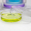 จานเพาะเชื้อ แบบแก้ว Glass Petri Dishes มีให้เลือก 3 ขนาด