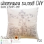 หมอนอิง ระบายสี DIY ถอดซักได้ สีปลอดภัย สีไม่ตก