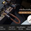Cayin CS-35C35ii/CS-44C44ii สายเชื่อมต่อสัญญาณเสียง ความบริสุทธิ์สูง ประกันศูนย์ไทย