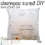 หมอนอิง ระบายสี DIY ถอดซักได้ สีปลอดภัย สีไม่ตก
