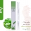 🥬Cuticle Oil น้ำมันบำรุงเล็บ และขอบเล็บ 🌺แบบหัวพู่กัน พกง่ายใช้สะดวก ราคาถูกกกกก 🚀พร้อมส่งจากไทย 🇹🇭