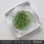 กากเพชรติดเล็บ แบบเส้นยาว 12 สี 12 กระปุก
