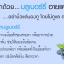 บีจีเอ็มทู ซอท์ฟเจล BGM II Eyecare Soft gel บำรุงสายตา